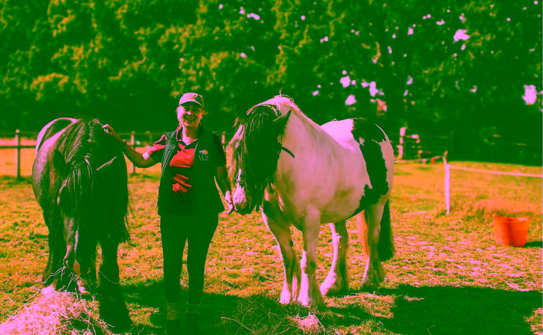 Kim Johnson with her ponies in the New Forest