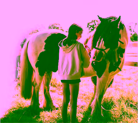 A young client interacts with a curious pony