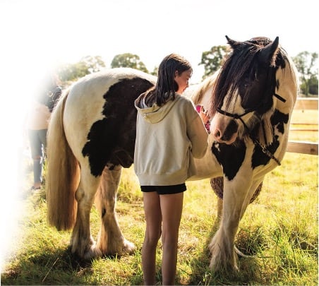 A young client interacts with a curious pony