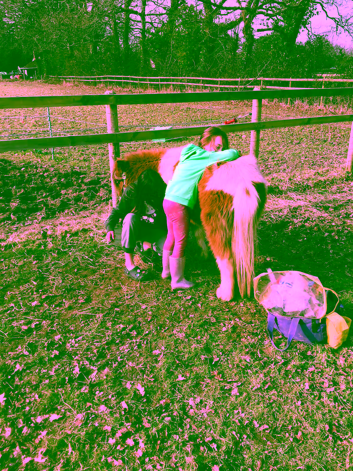 A child hugs a pony