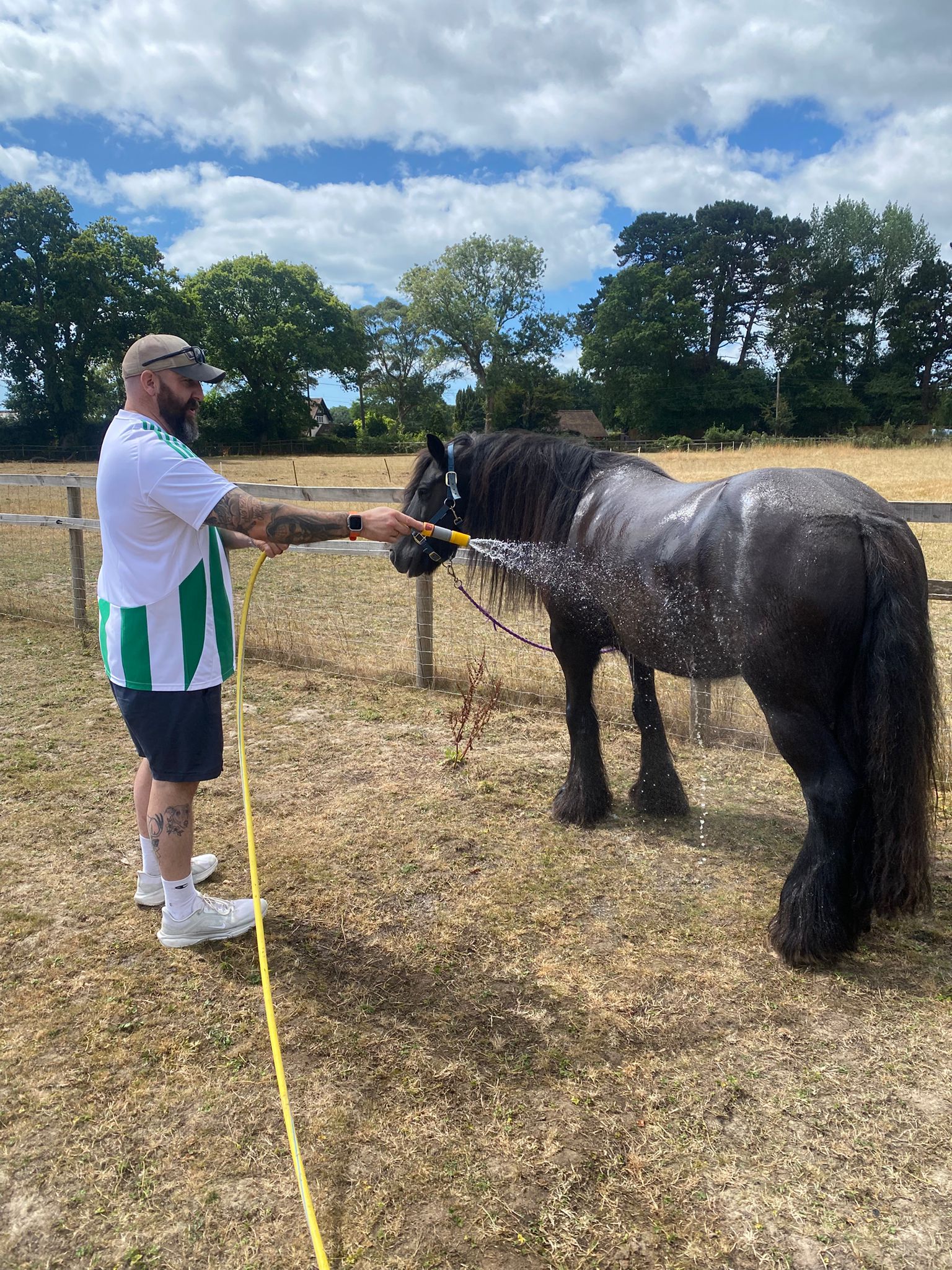 A client helps a pony cool off while building trust