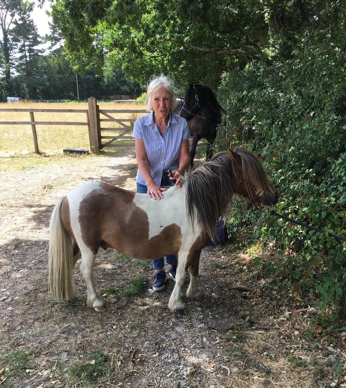 A client enjoying giving attention to one of the smaller ponies