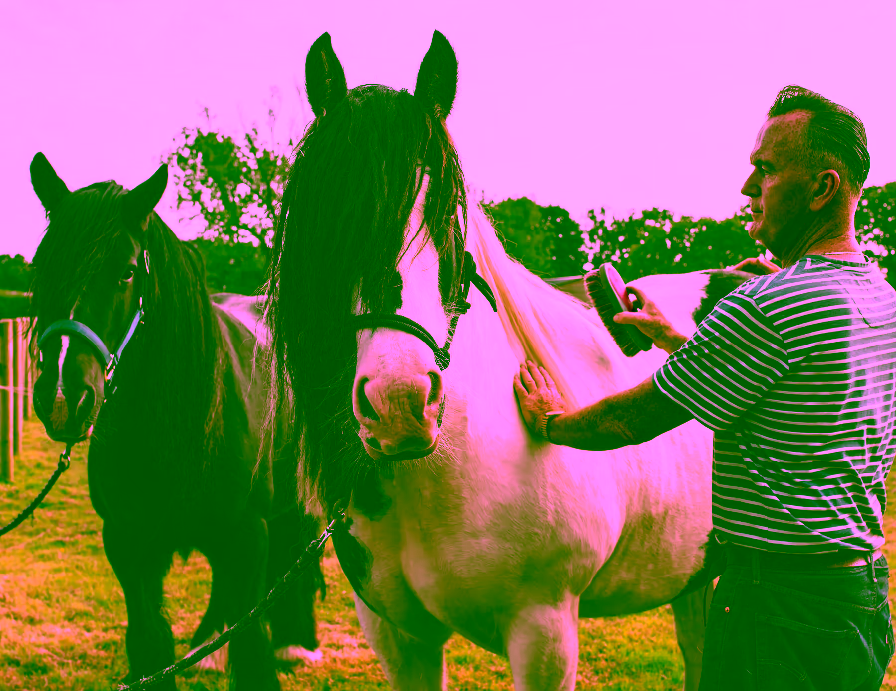 A client brushes a pony, building bonds