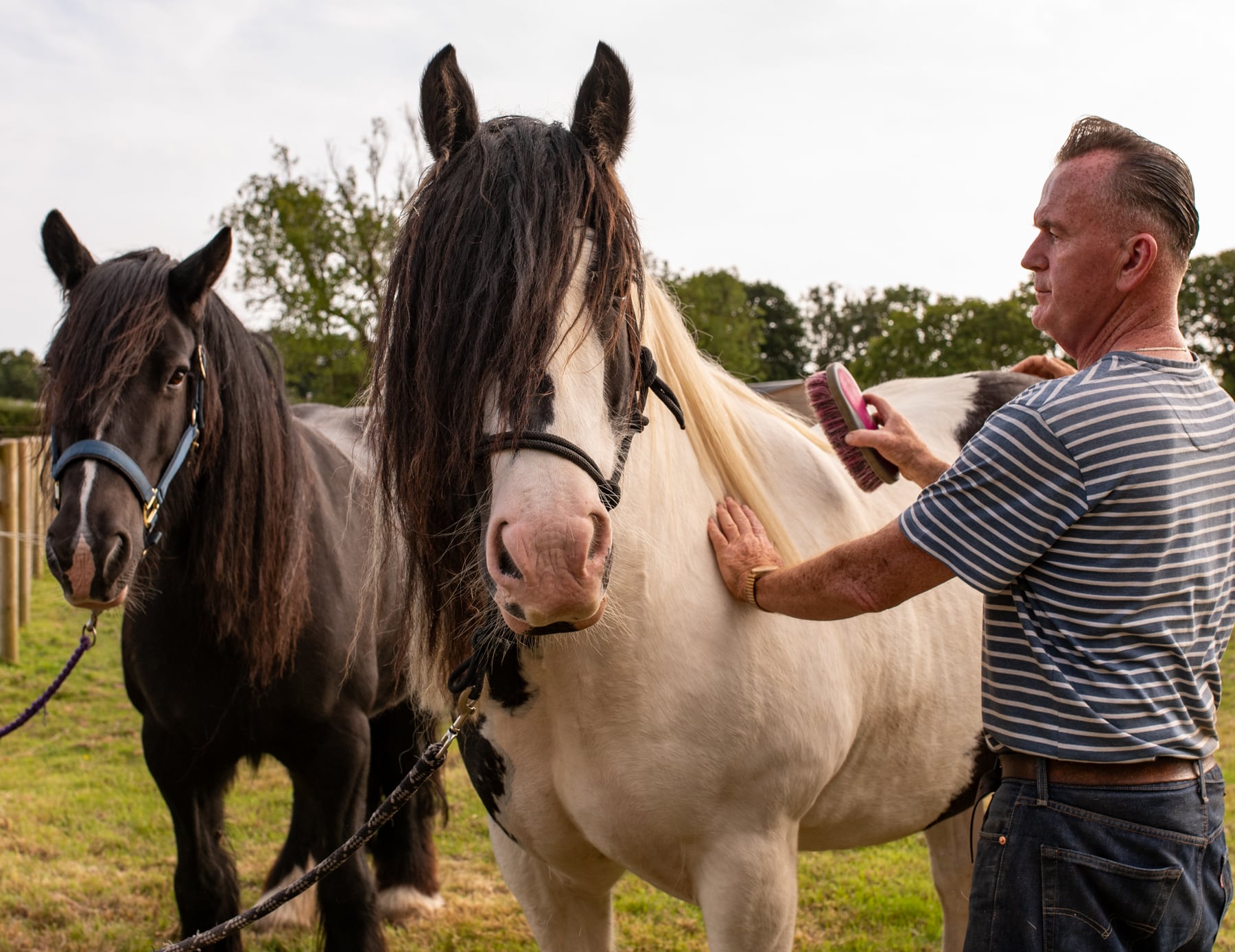 A client brushes a pony, building bonds